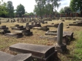 Jewish cemetery clean-up/Ebreju kapu kopšana/Уборка еврейского кладбища